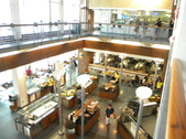 Enlarge photo 37
