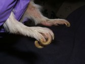 Enlarge photo 1