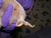Enlarge photo 3