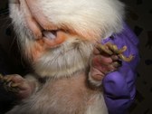 Enlarge photo 9