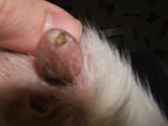 Enlarge photo 23