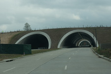 New Memorial Park Shots