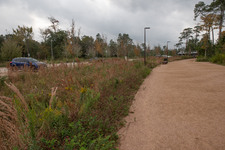 Walking Paths on East Memorial Circle