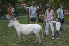 Enlarge photo 20