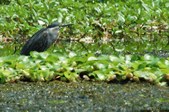 Enlarge photo 26