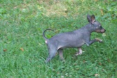 Enlarge photo 5