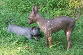Enlarge photo 3