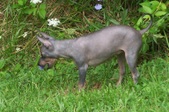 Enlarge photo 9