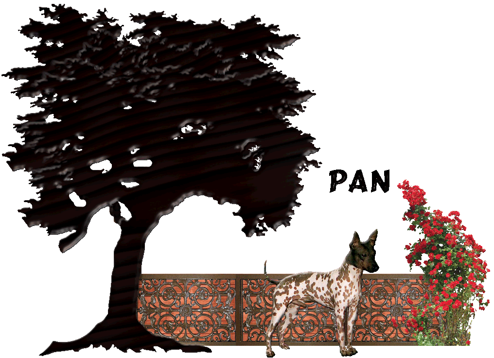Enlarge photo 34