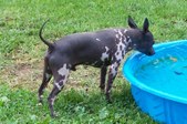 Enlarge photo 5
