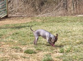 Enlarge photo 11