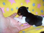 Enlarge photo 19