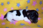 Enlarge photo 22