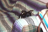 Enlarge photo 18