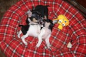 Enlarge photo 12