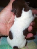 Enlarge photo 22