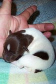 Enlarge photo 24