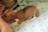 Enlarge photo 14