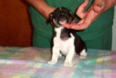 Enlarge photo 9
