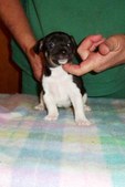 Enlarge photo 11