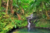 Carabali Forest Park