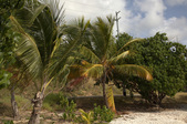 Playa Melones, Culebra