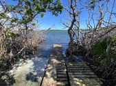 Enlarge photo 17