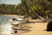 Enlarge photo 19
