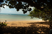 La Selva