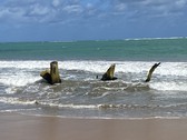 Enlarge photo 22