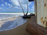 Enlarge photo 14