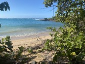 Enlarge photo 19