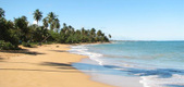 Vacia La Talega, Loiza