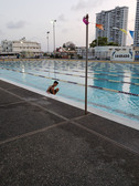 Pools
