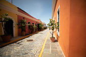 Enlarge photo 22