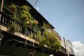 Calle Mercado