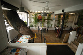 Enlarge photo 21