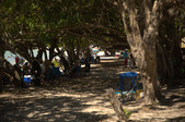 Enlarge photo 18
