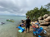 Guanica shark Tooth 