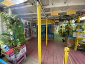 Enlarge photo 11