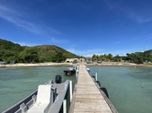 Papayo