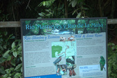 El Yunque