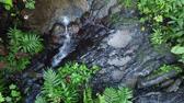 Waterfalls