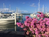 Marina Puerta Real, Cabo Rojo