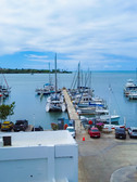 Enlarge photo 16