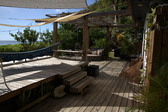 Nest at Crash Boat Beach