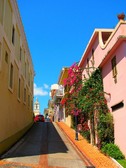 Enlarge photo 24