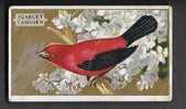 T42 EMBLEM BIRD SERIES