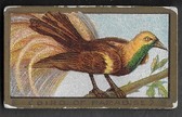 T42 OLD MILL GOLD BIRD SERIES