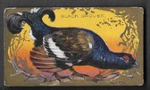 T43 Bird Series